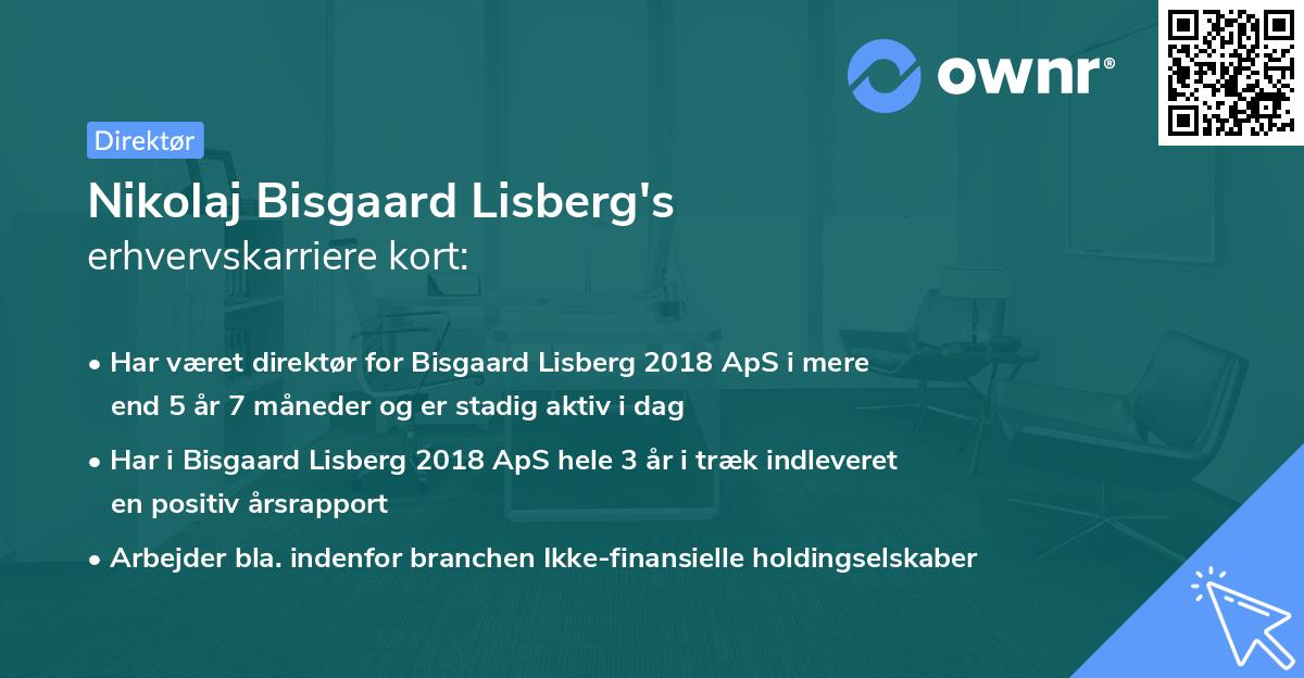 Nikolaj Bisgaard Lisberg's erhvervskarriere kort