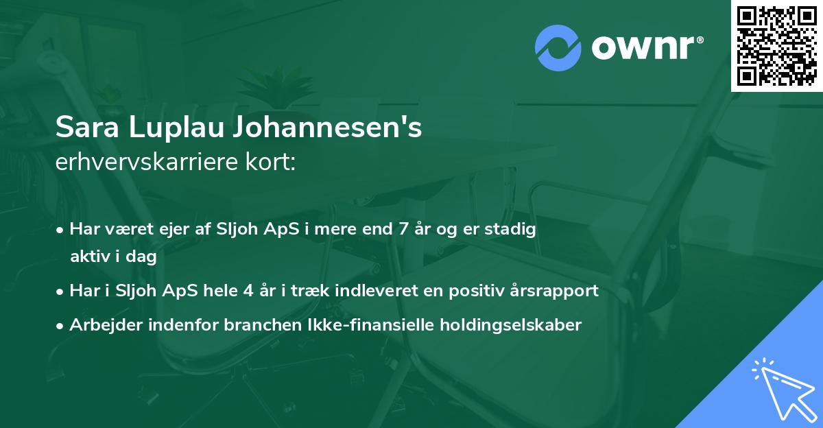 Sara Luplau Johannesen's erhvervskarriere kort