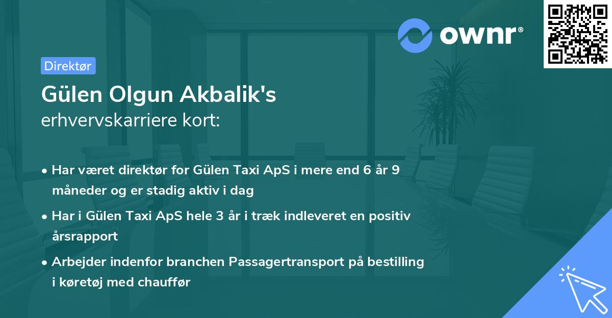 Gülen Olgun Akbalik's erhvervskarriere kort