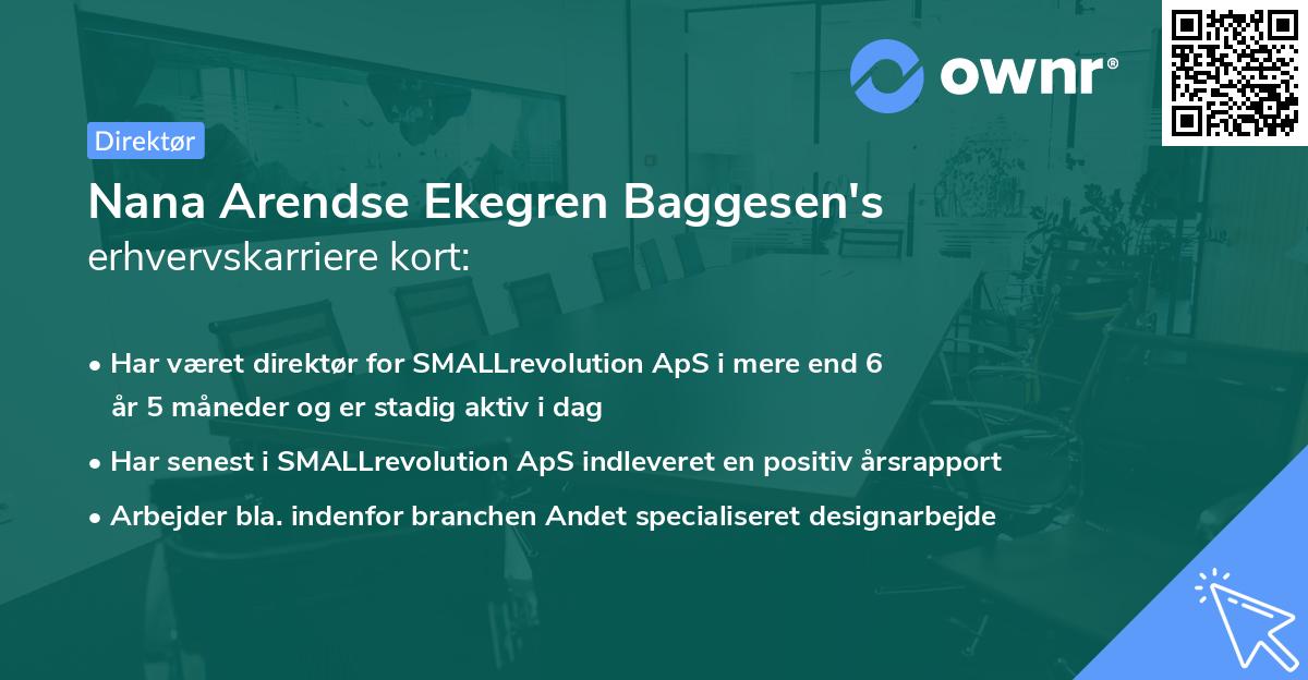 Nana Arendse Ekegren Baggesen's erhvervskarriere kort