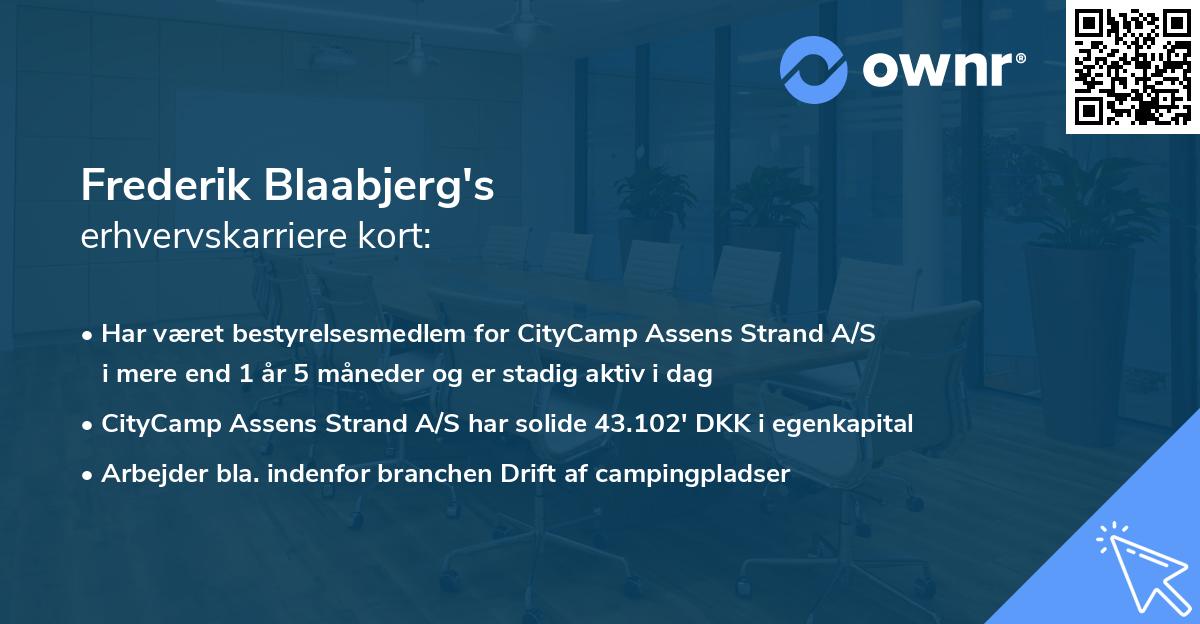 Frederik Blaabjerg's erhvervskarriere kort