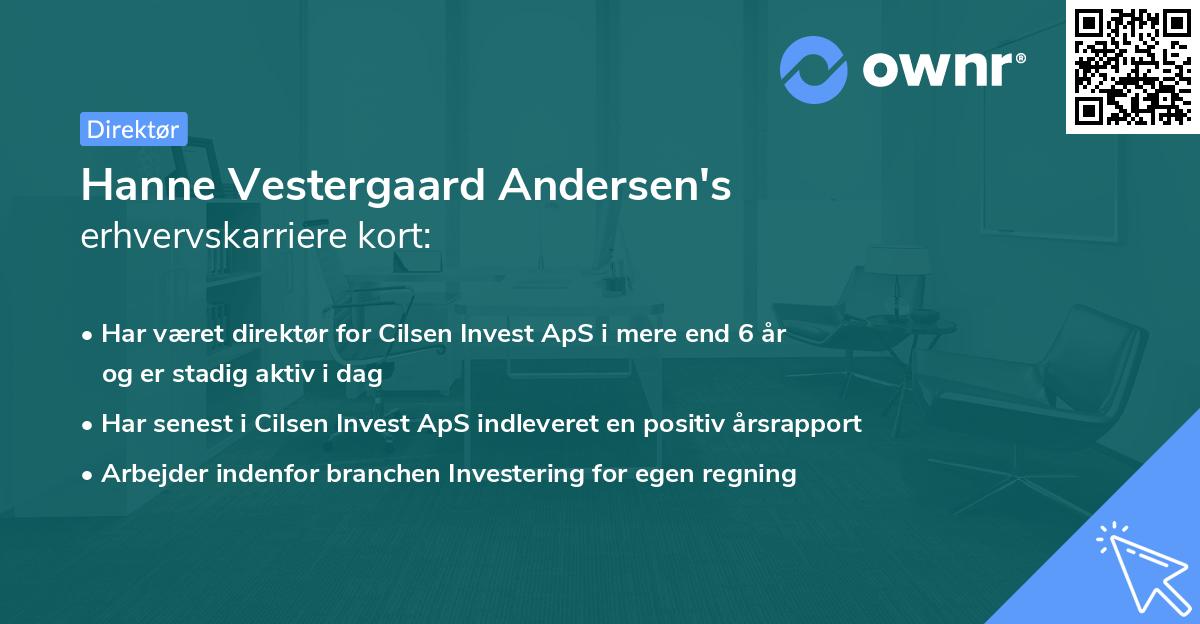Hanne Vestergaard Andersen's erhvervskarriere kort