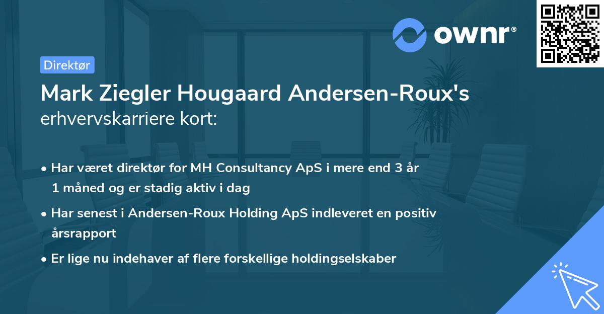 Mark Ziegler Hougaard Andersen-Roux's erhvervskarriere kort