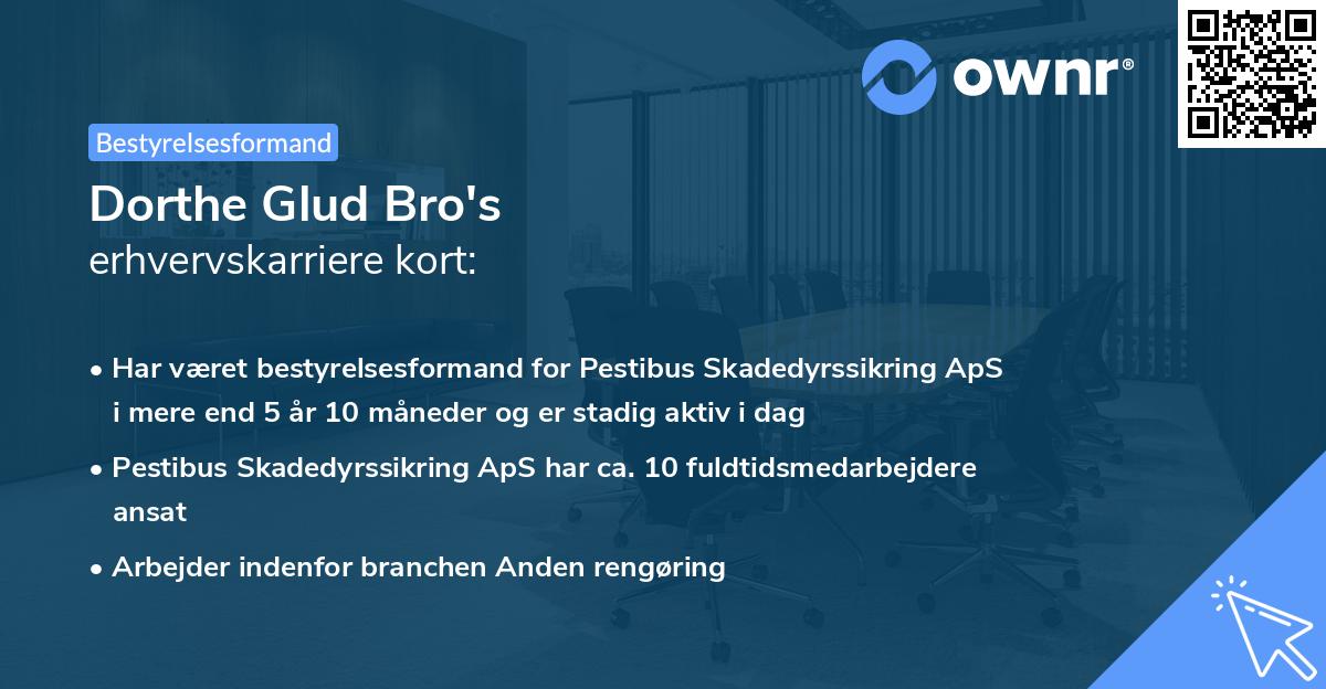 Dorthe Glud Bro's erhvervskarriere kort