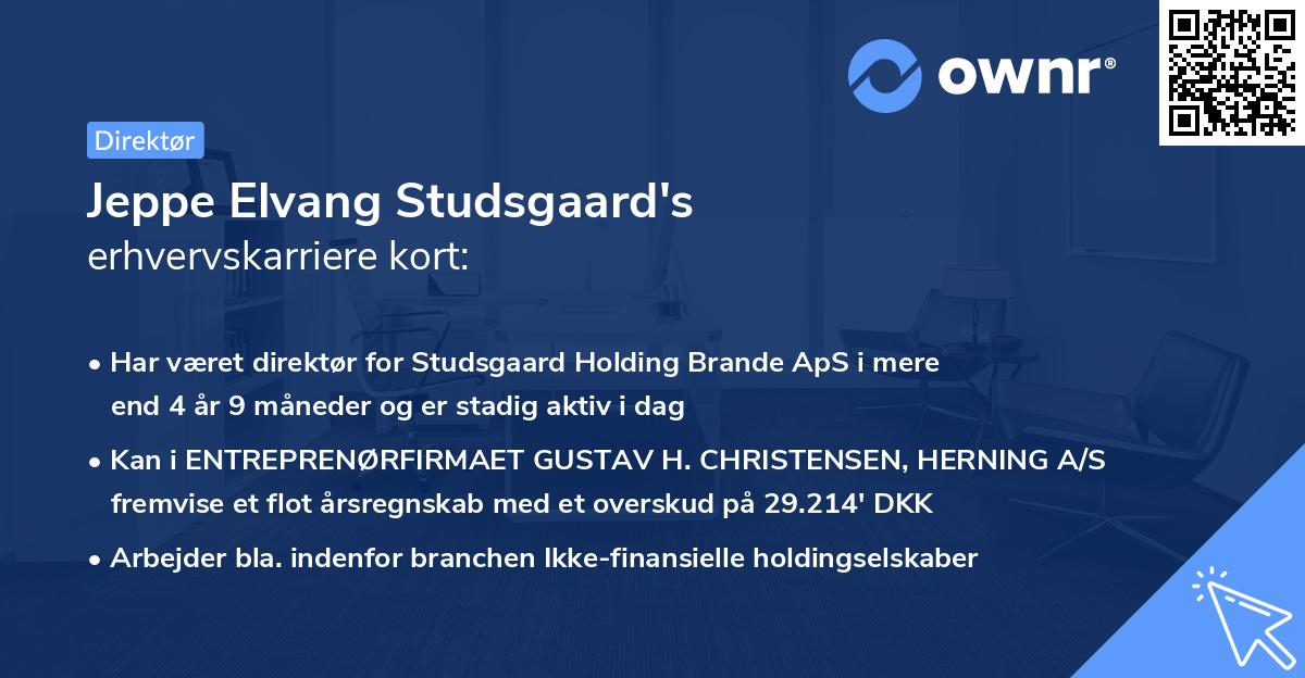 Jeppe Elvang Studsgaard's erhvervskarriere kort