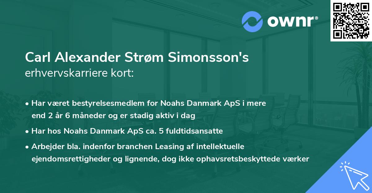 Carl Alexander Strøm Simonsson's erhvervskarriere kort