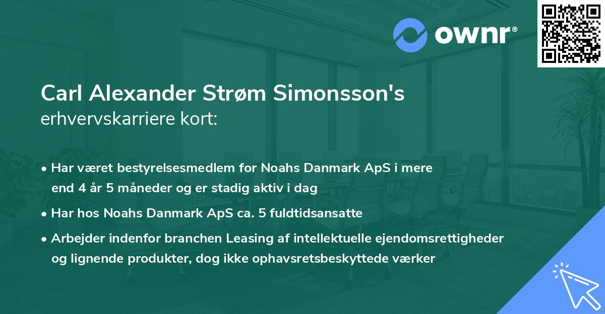 Carl Alexander Strøm Simonsson's erhvervskarriere kort
