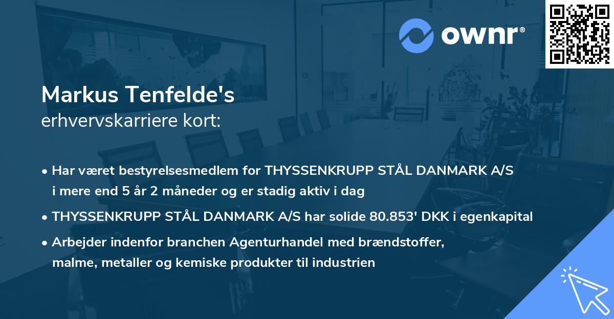 Markus Tenfelde's erhvervskarriere kort
