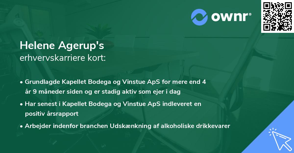 Helene Agerup's erhvervskarriere kort