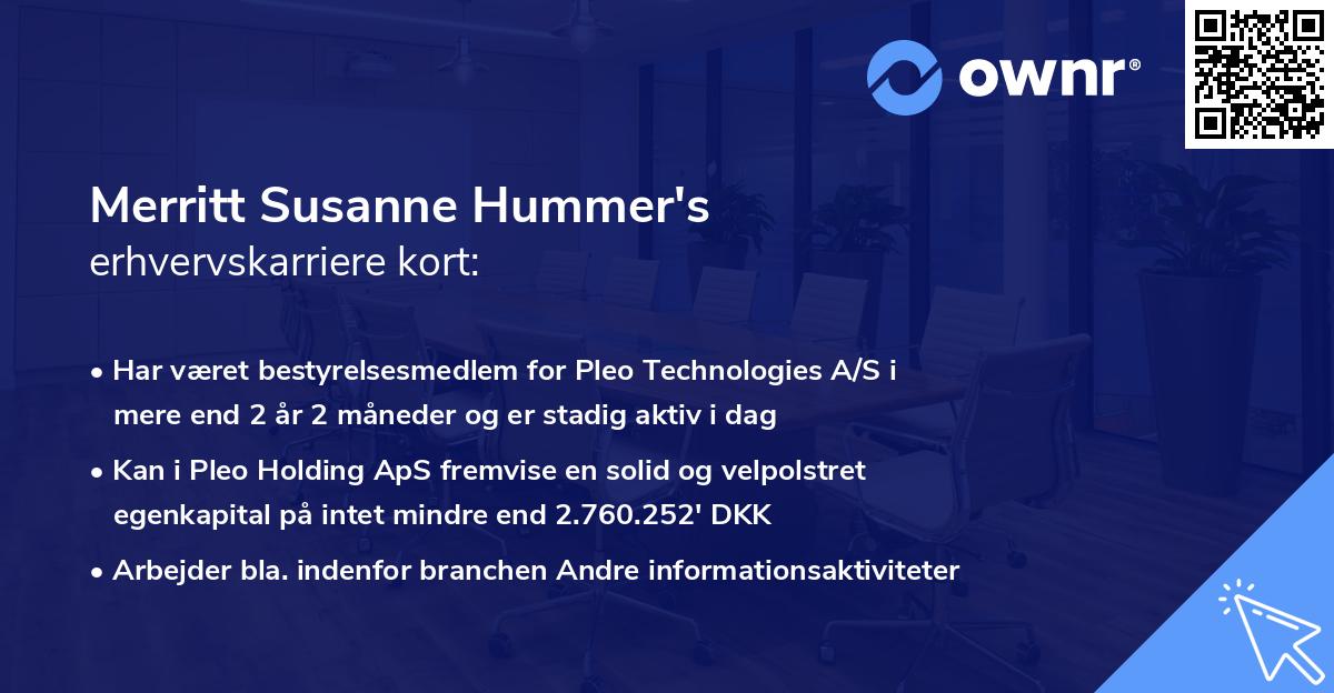 Merritt Susanne Hummer's erhvervskarriere kort