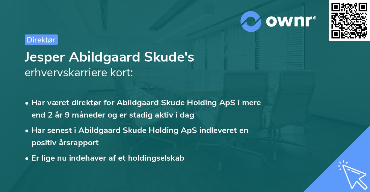 Jesper Abildgaard Skude's erhvervskarriere kort
