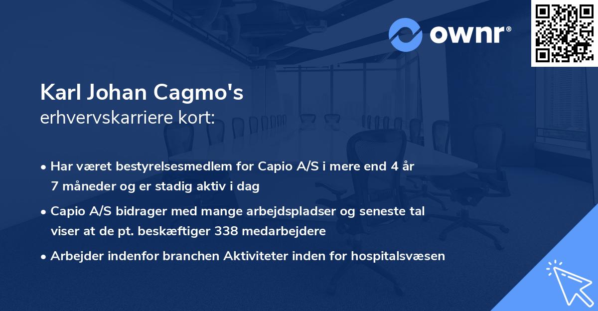 Karl Johan Cagmo's erhvervskarriere kort