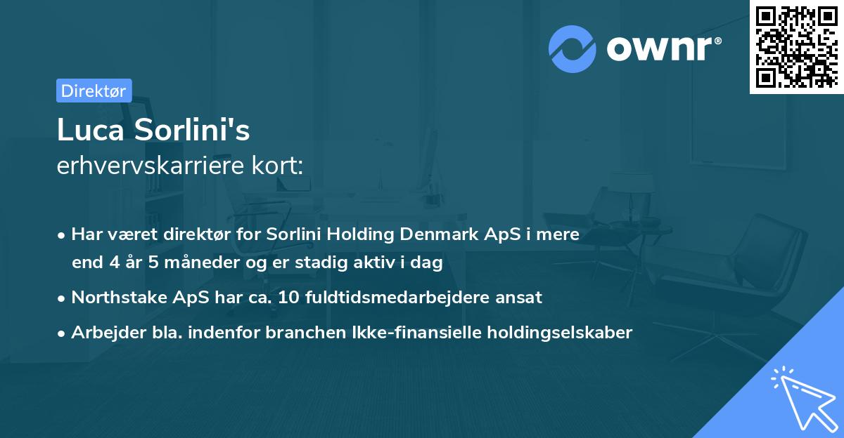 Luca Sorlini's erhvervskarriere kort