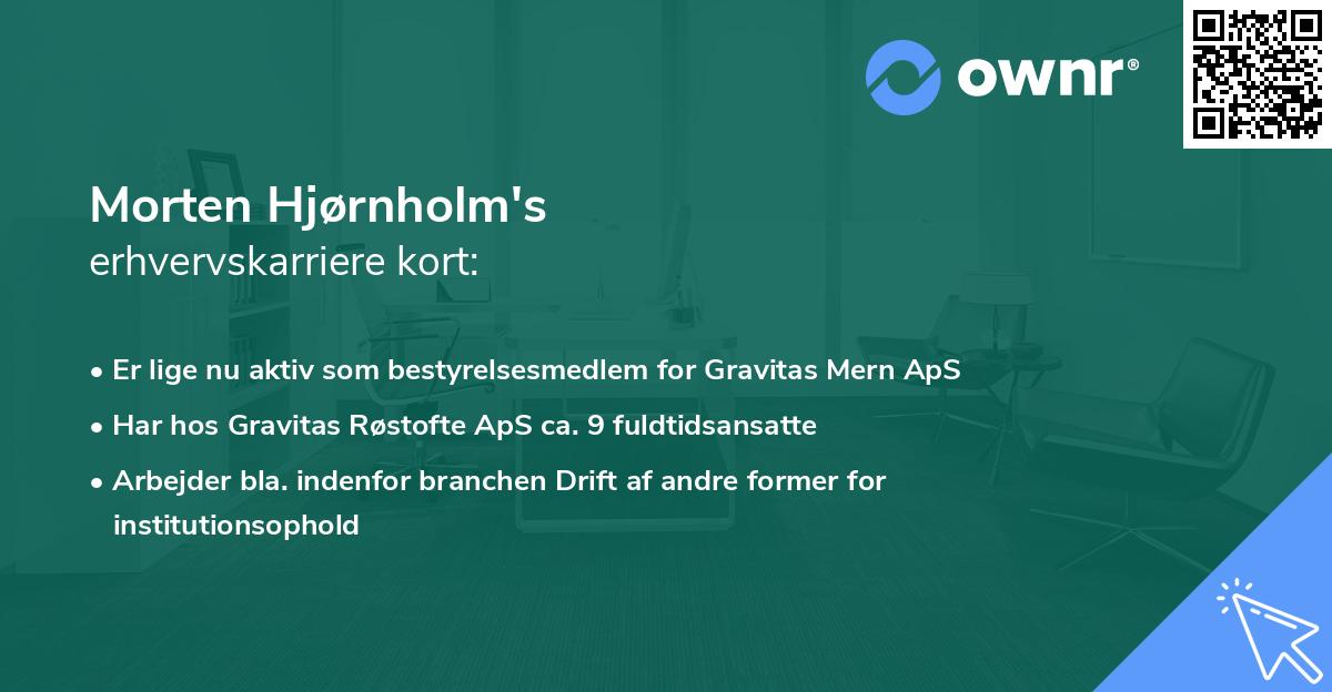Morten Hjørnholm's erhvervskarriere kort