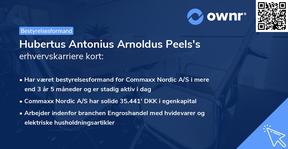 Hubertus Antonius Arnoldus Peels's erhvervskarriere kort
