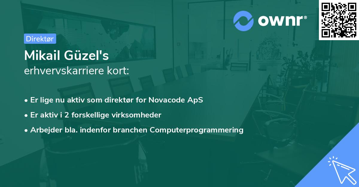 Mikail Güzel's erhvervskarriere kort