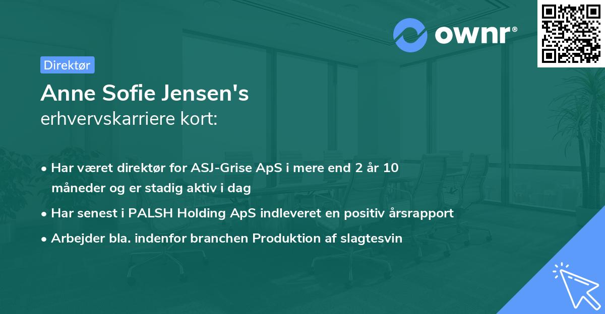 Anne Sofie Jensen's erhvervskarriere kort