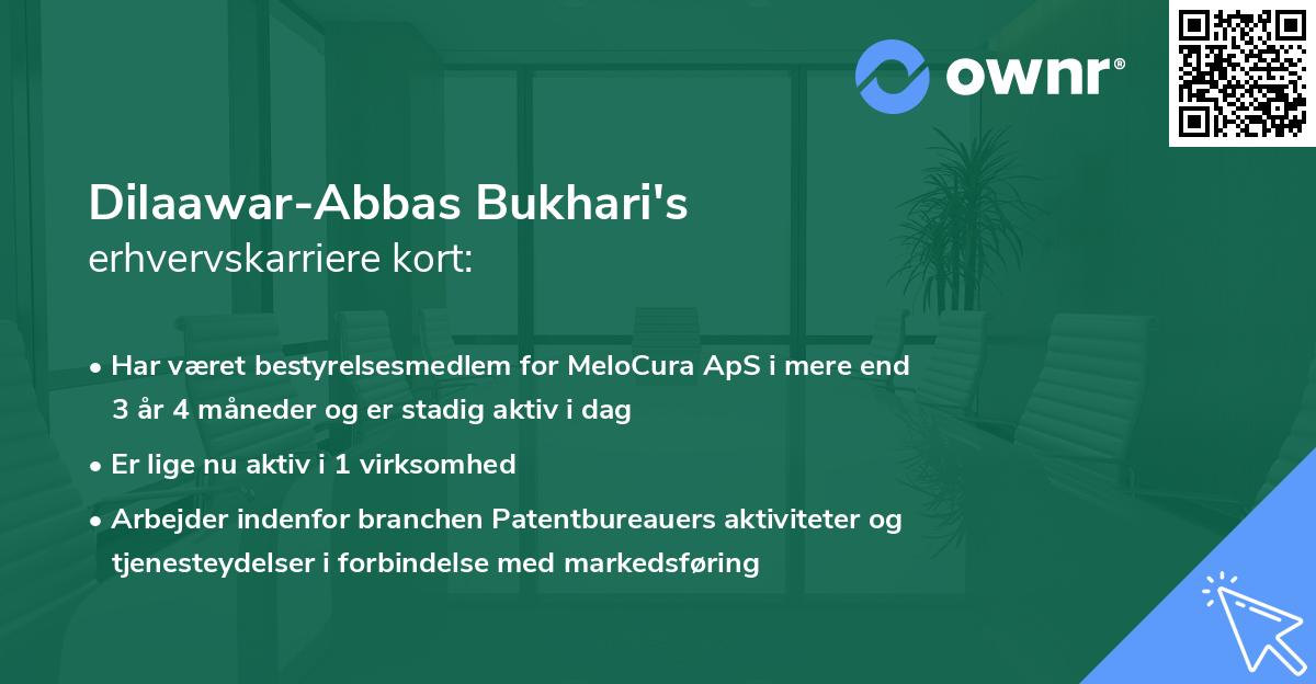 Dilaawar-Abbas Bukhari's erhvervskarriere kort