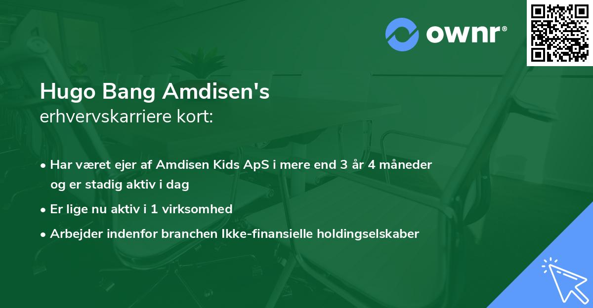 Hugo Bang Amdisen's erhvervskarriere kort