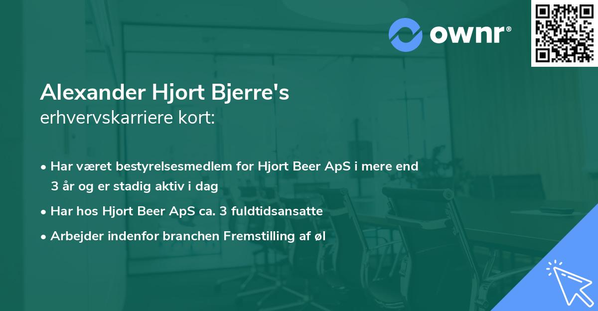 Alexander Hjort Bjerre's erhvervskarriere kort