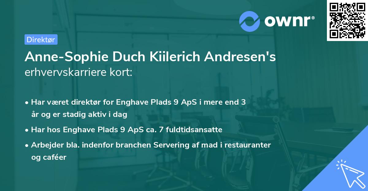 Anne-Sophie Duch Kiilerich Andresen's erhvervskarriere kort