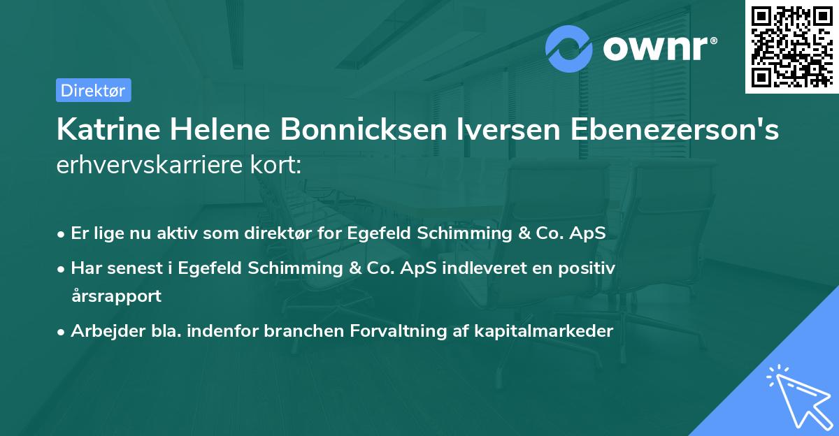 Katrine Helene Bonnicksen Iversen Ebenezerson's erhvervskarriere kort