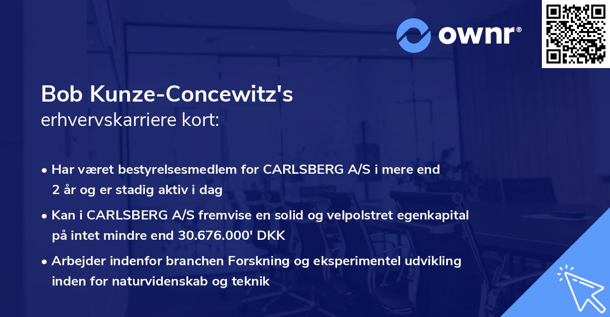 Bob Kunze-Concewitz's erhvervskarriere kort