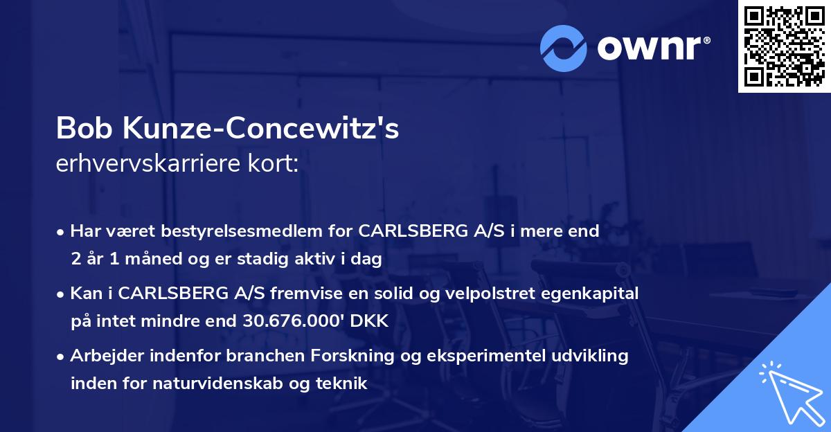 Bob Kunze-Concewitz's erhvervskarriere kort