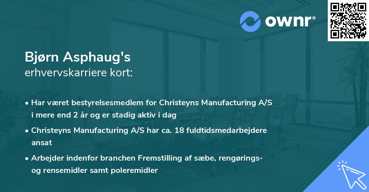 Bjørn Asphaug's erhvervskarriere kort