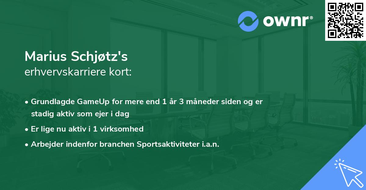 Marius Schjøtz's erhvervskarriere kort