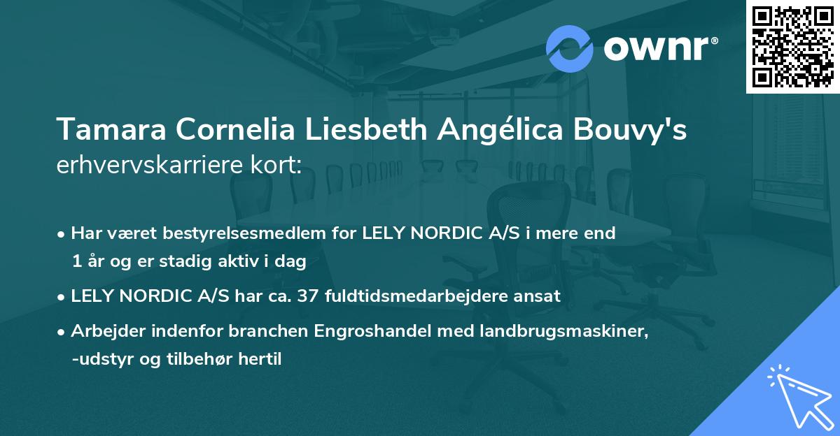 Tamara Cornelia Liesbeth Angélica Bouvy's erhvervskarriere kort