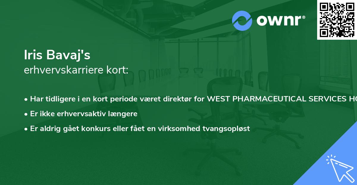 Iris Bavaj's erhvervskarriere kort
