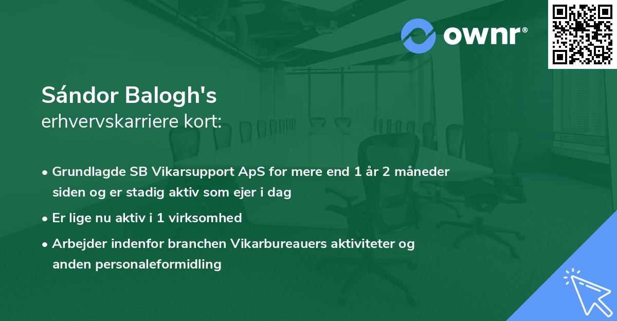 Sándor Balogh's erhvervskarriere kort