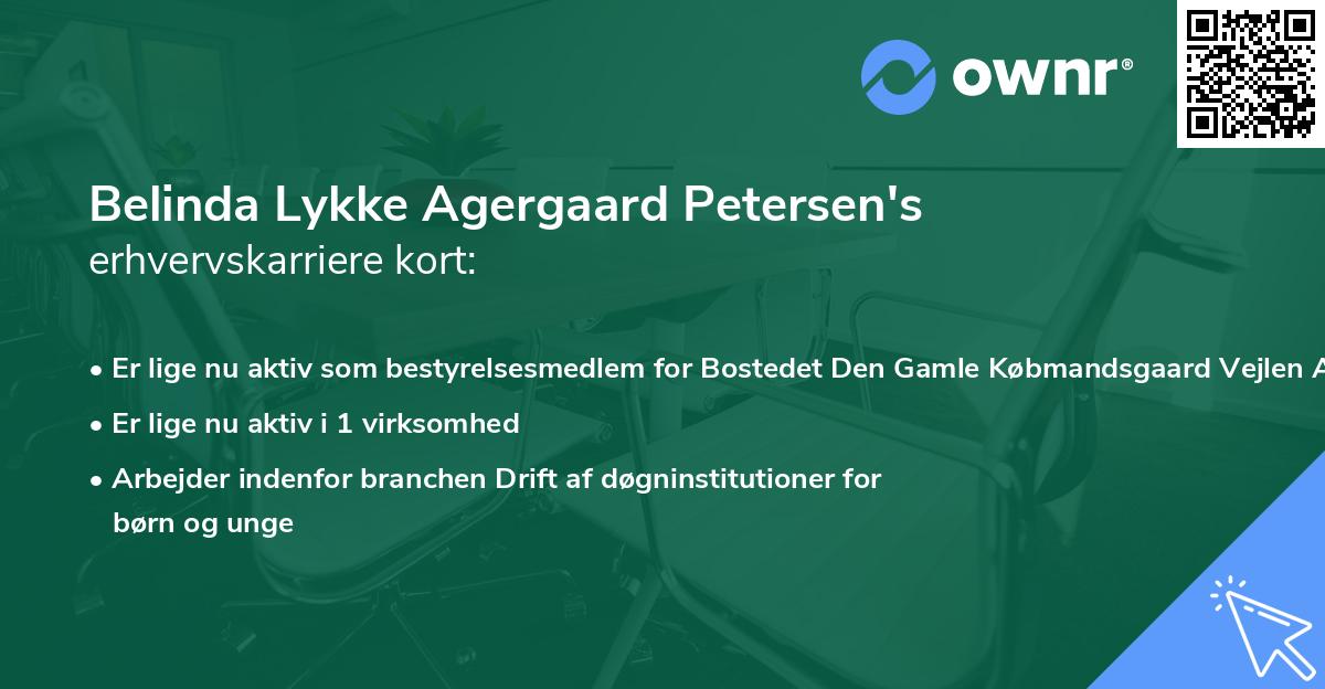 Belinda Lykke Agergaard Petersen's erhvervskarriere kort