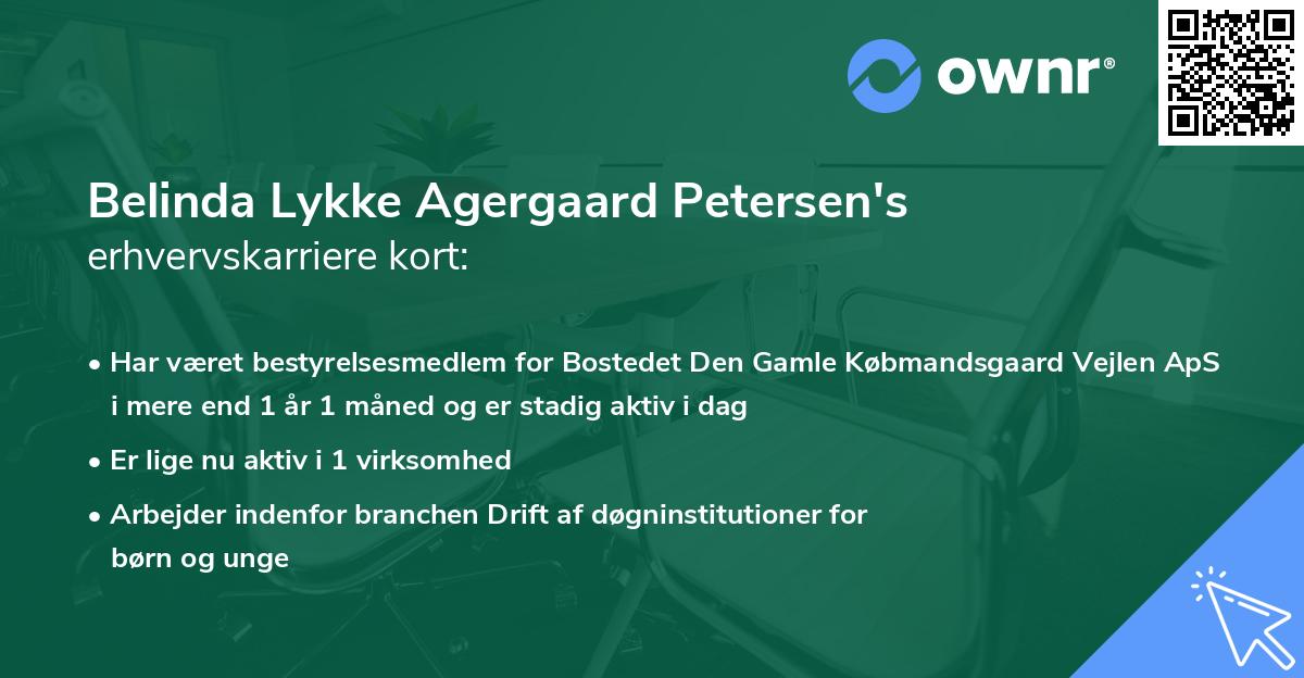 Belinda Lykke Agergaard Petersen's erhvervskarriere kort