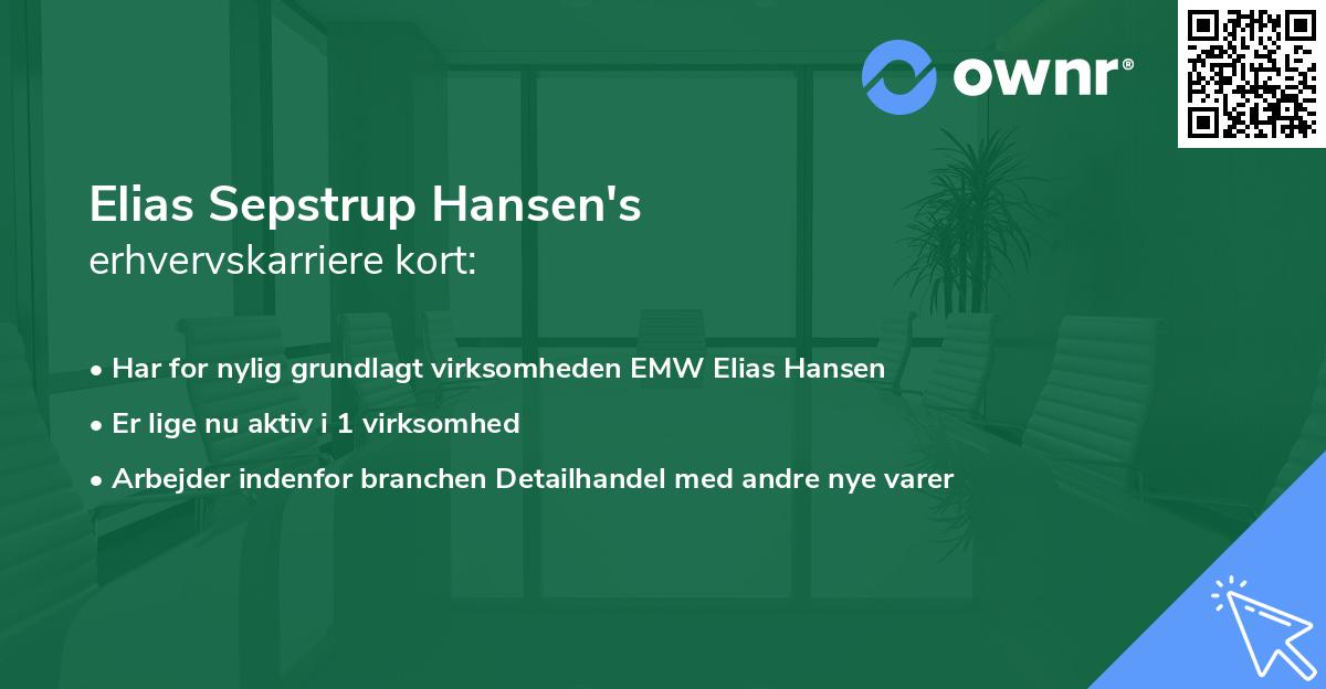 Elias Sepstrup Hansen's erhvervskarriere kort