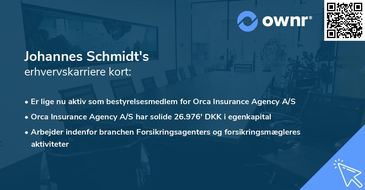 Johannes Schmidt's erhvervskarriere kort