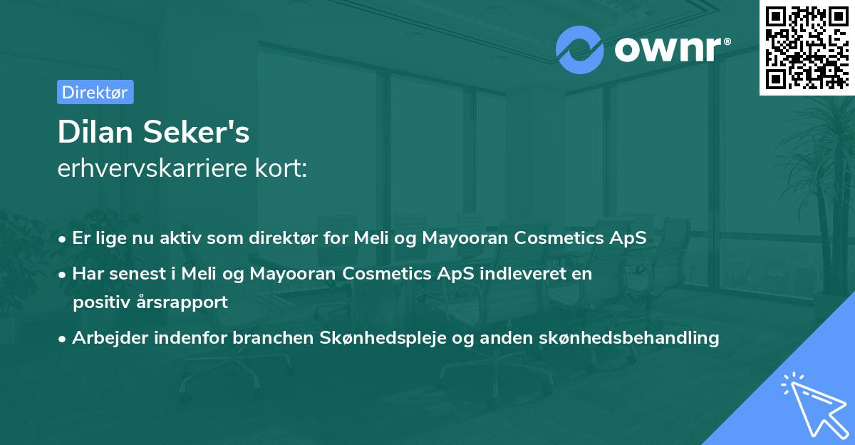 Dilan Seker's erhvervskarriere kort