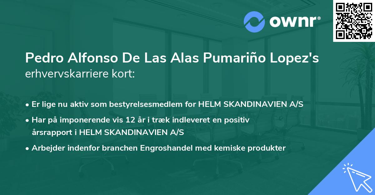 Pedro Alfonso De Las Alas Pumariño Lopez's erhvervskarriere kort
