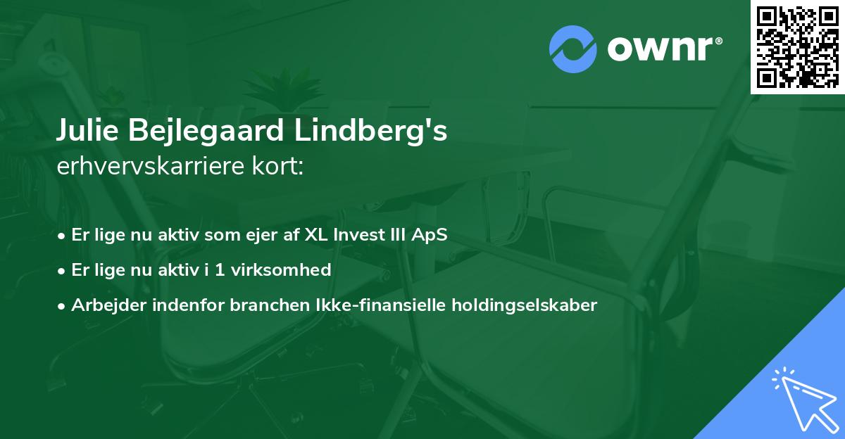 Julie Bejlegaard Lindberg's erhvervskarriere kort