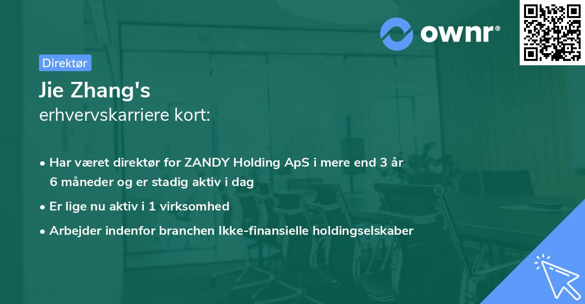 Jie Zhang's erhvervskarriere kort