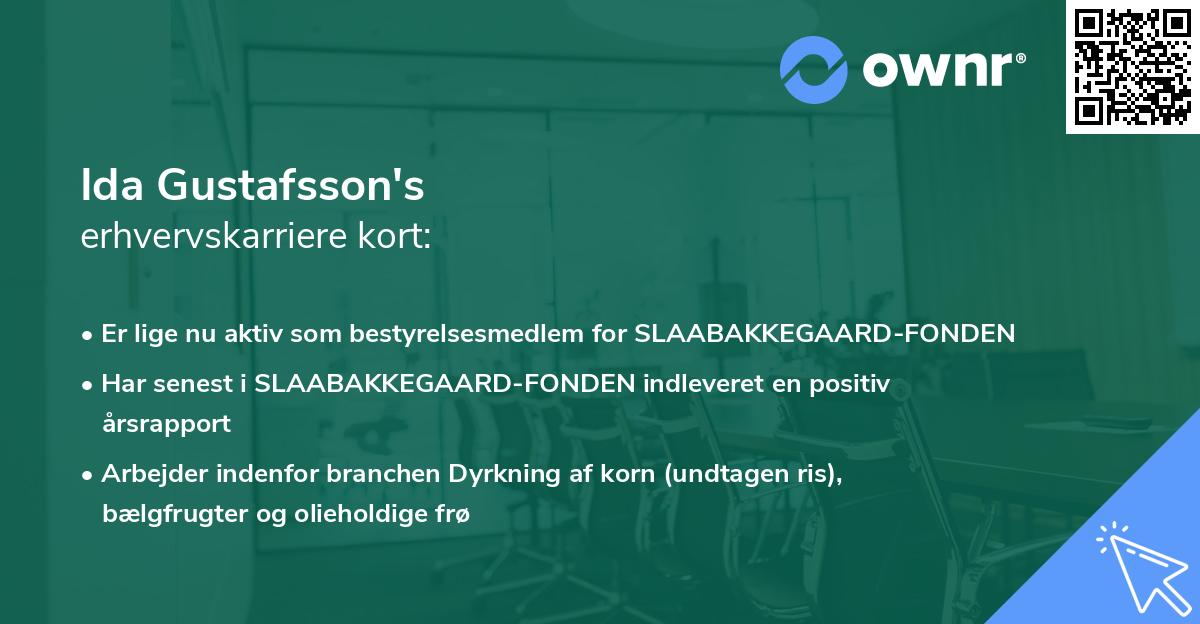 Ida Gustafsson's erhvervskarriere kort