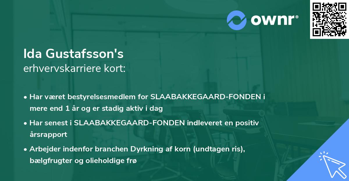 Ida Gustafsson's erhvervskarriere kort