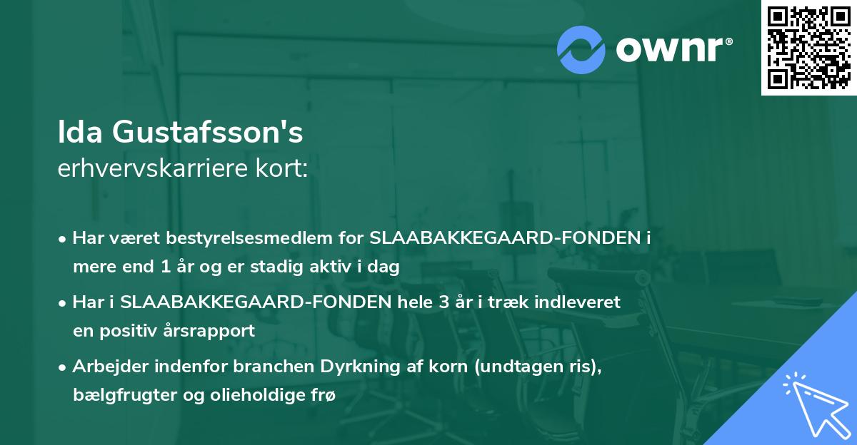 Ida Gustafsson's erhvervskarriere kort