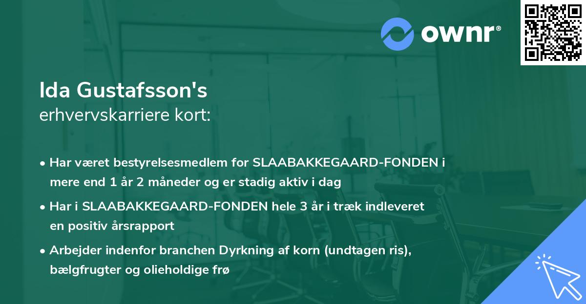 Ida Gustafsson's erhvervskarriere kort