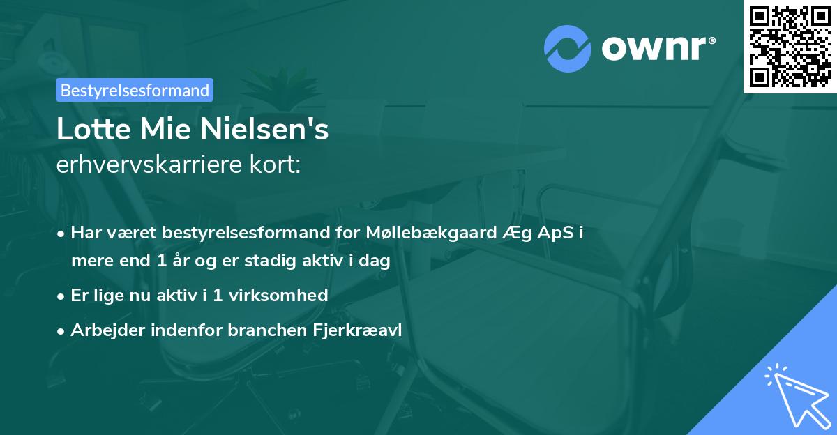 Lotte Mie Nielsen's erhvervskarriere kort
