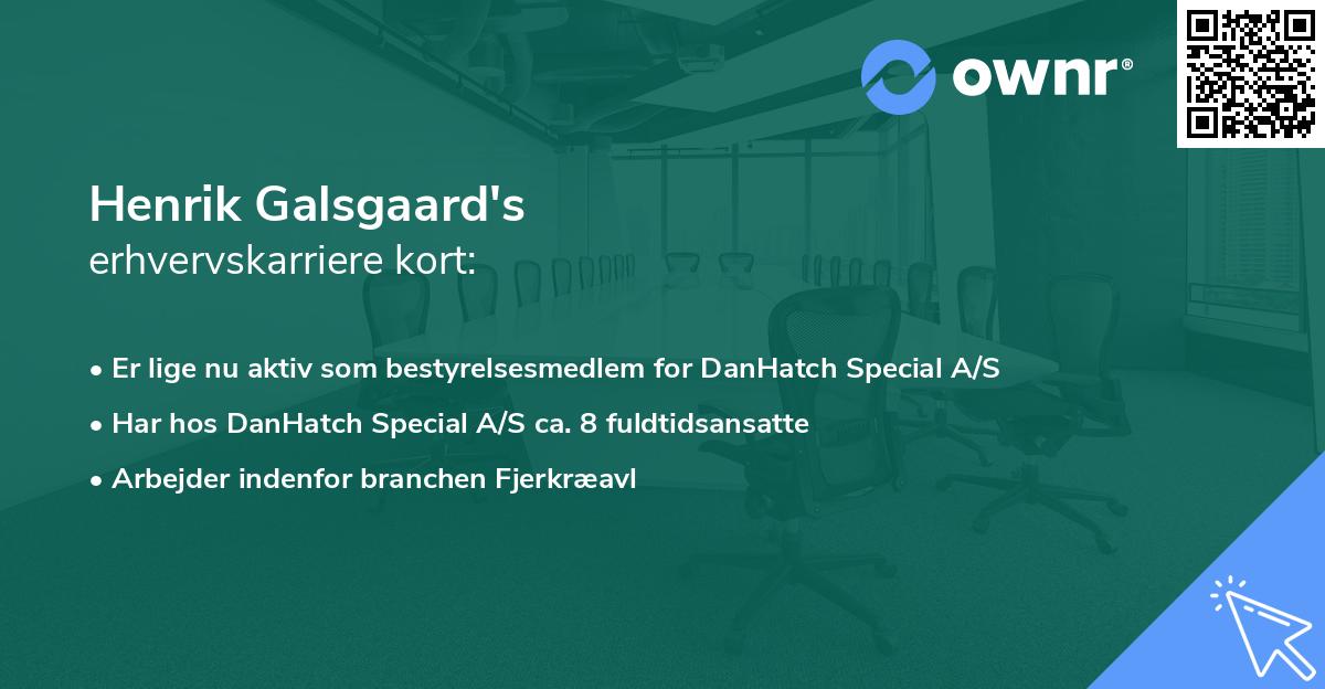 Henrik Galsgaard's erhvervskarriere kort