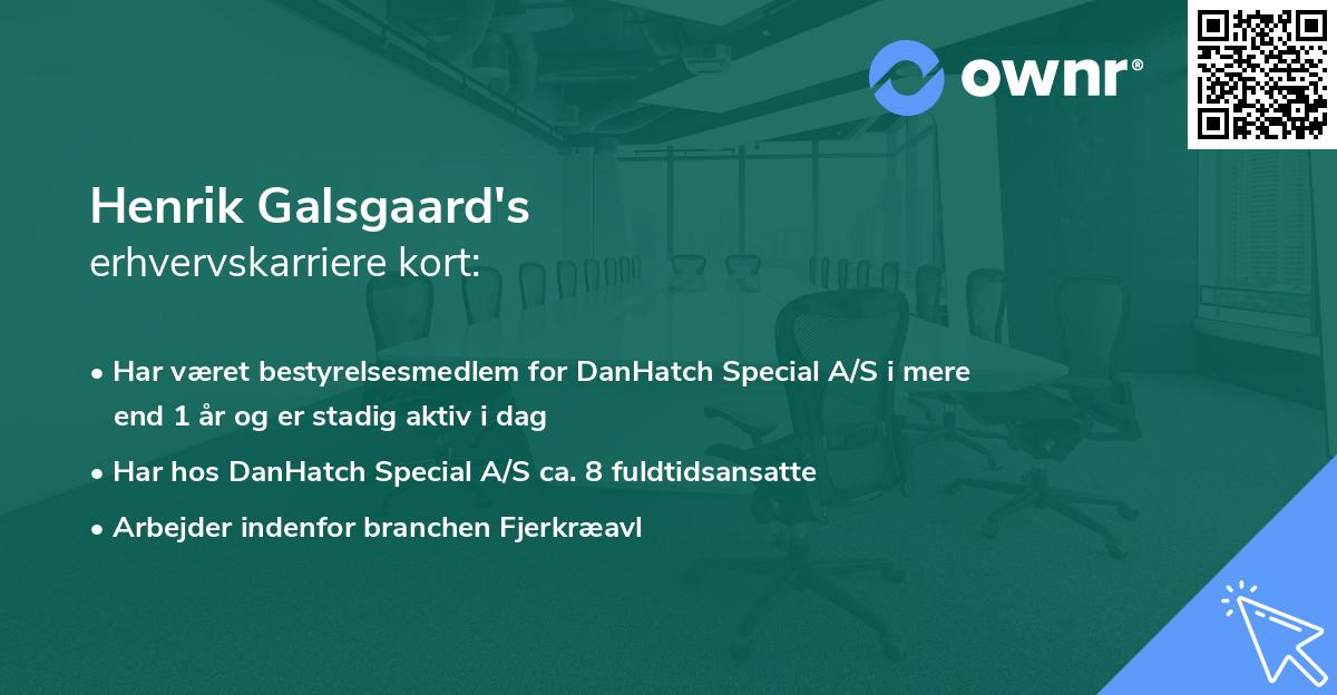 Henrik Galsgaard's erhvervskarriere kort