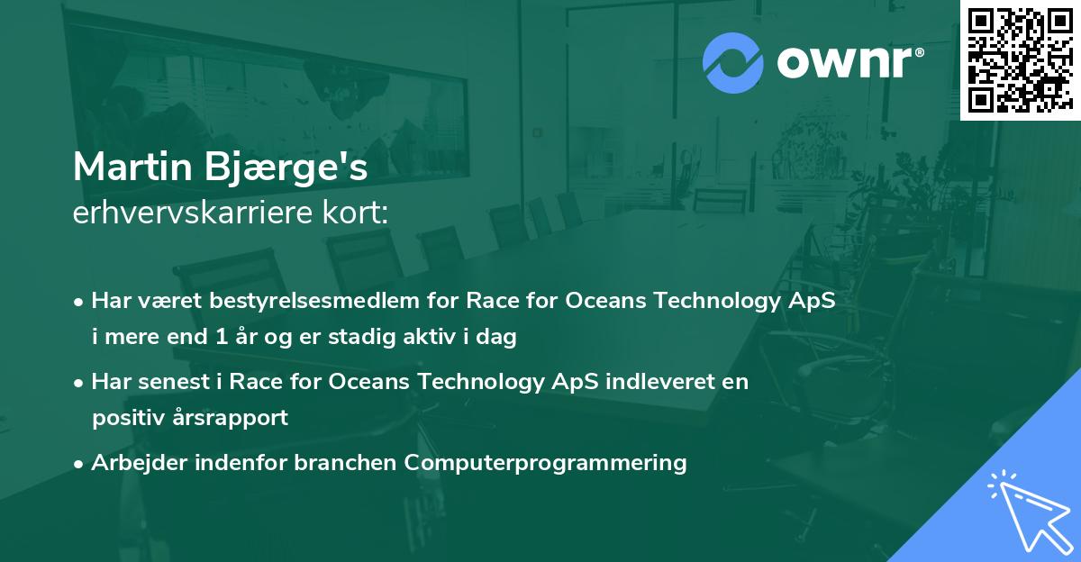 Martin Bjærge's erhvervskarriere kort