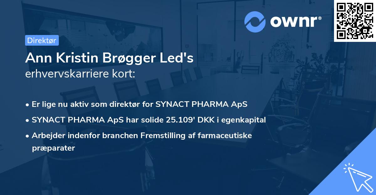 Ann Kristin Brøgger Led's erhvervskarriere kort